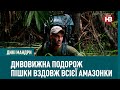 Дивовижна подорож пішки вздовж всієї Амазонки | Дикі мандри