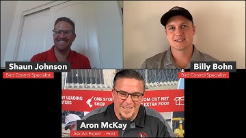 How To Stop Woodpeckers [THE BASICS OF WOODPECKER CONTROL] Ask An Expert  | Bird B Gone