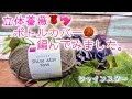 【かぎ針編み】立体薔薇🌹💖小さくなるボトルカバー🧶編んでみました。【シャインスター】