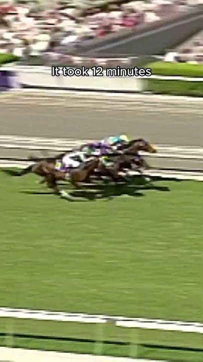 A First Dead Heat In Breeders’ Cup History… 😬 #HIGHCHAPARRAL #BC23