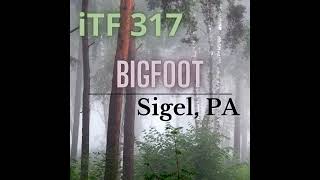 iTF 317: Bigfoot of Sigel, PA