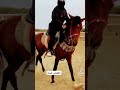 الكوتش هيام مربط المهاب الكوتش هيام مربط المهاب