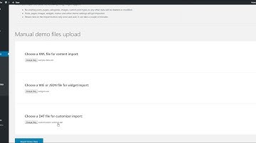 How to import demo data for Traveller - Tour & Travel WordPress Theme for Travel Agency