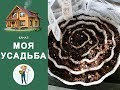 КАК СДЕЛАТЬ "УЛИТКУ" для перцев и баклажан сразу с землёй