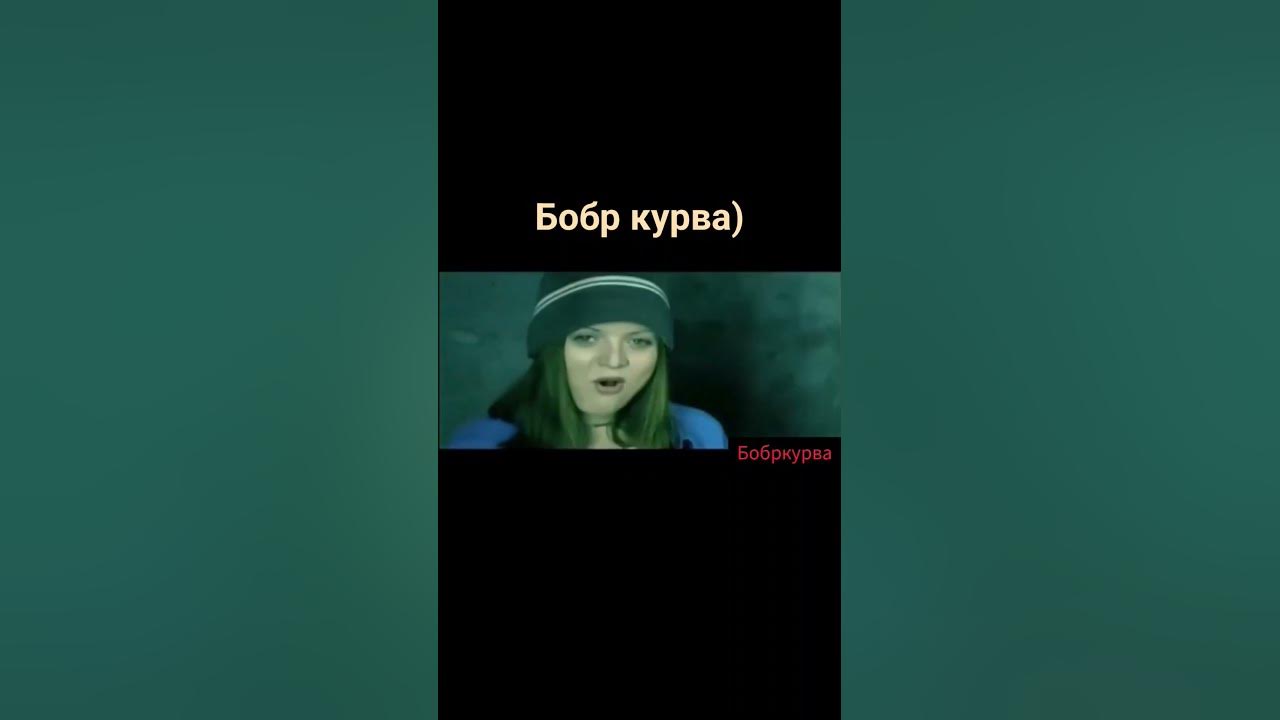 Бобр курва я пердоле) - YouTube