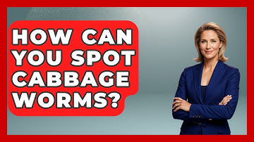 How Can You Spot Cabbage Worms? | Insects and Invaders