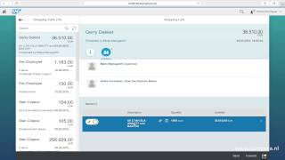 SAP PROCUREMENT PORTAL in FIORI