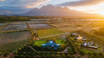 Ludus Magnus Original Video 2021