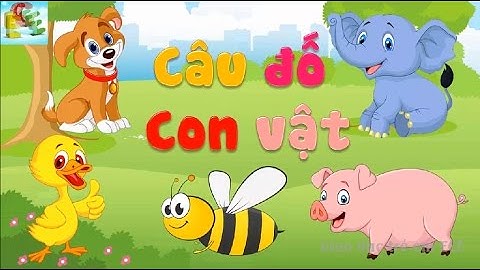 Câu đố vui cho bé về con vật có đáp án | đố bé con gì dạy bé học con vật | Giáo dục trẻ em ECE