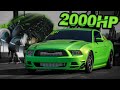 2000HP Coyote Beats EVERYONE - WINS $10,500! (BADDEST Street Driven Mustang on the Planet?)