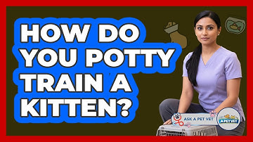 How Do You Potty Train A Kitten? - Ask A Pet Vet