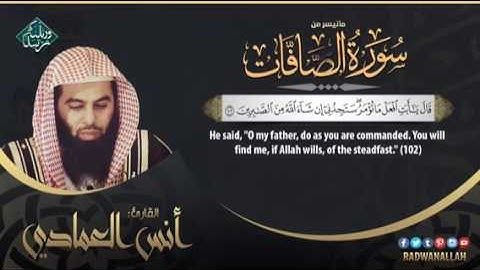 صوت يريح النفس الشيخ انس العمادي #اروع_التلاوات