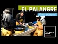 👌Pesca con PALANGRE -【Pesca artesanal en Conil - Cádiz】