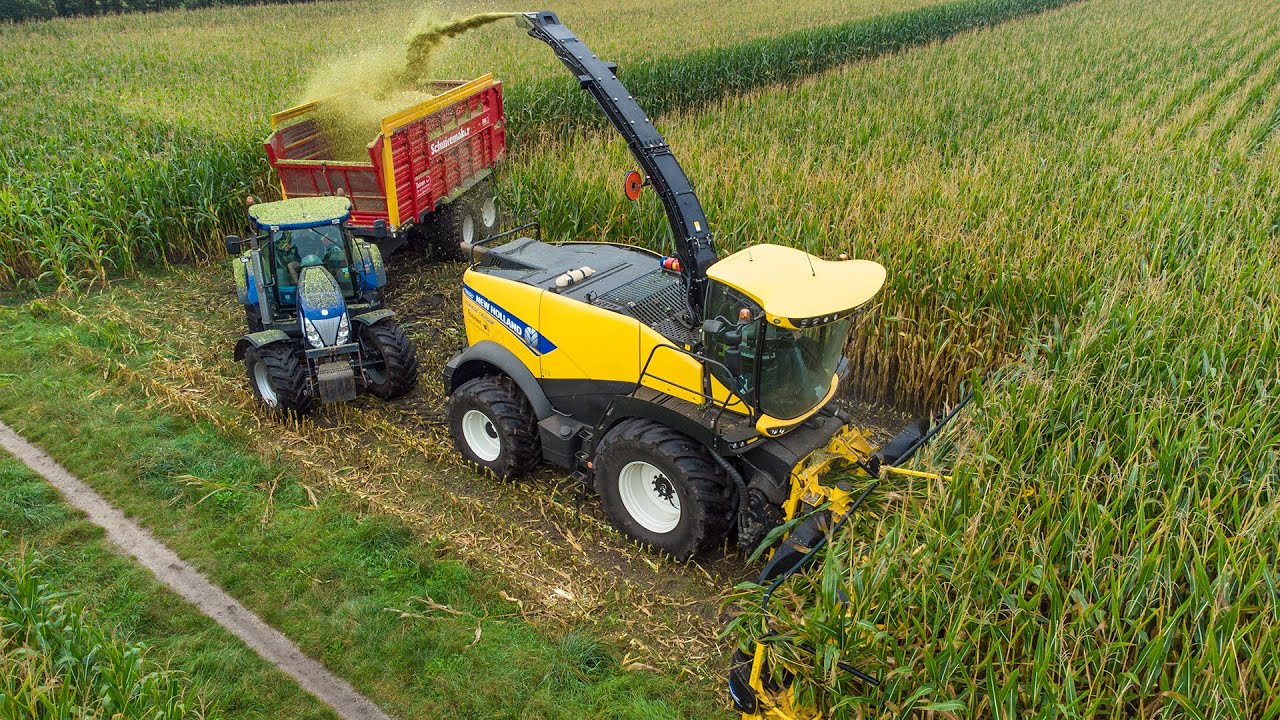 Mais Silage 2021 with New Holland FR650 / 10 Rows | Toonen - Odiliapeel