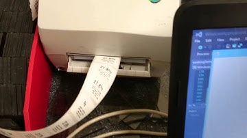 Visual basic printing to zebra printer