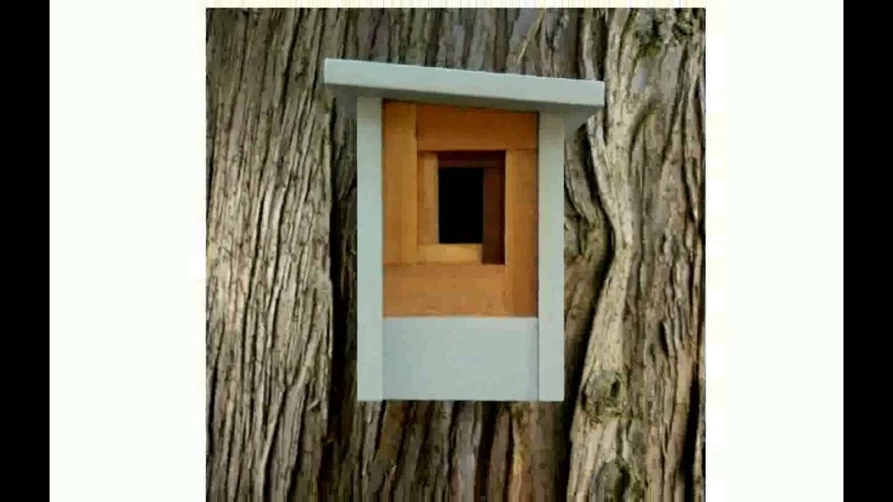 Contemporary Bird Houses YouTube