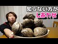 【寄生虫】実はあまり知られていない『ホッキ貝の闇』あばいてみた。