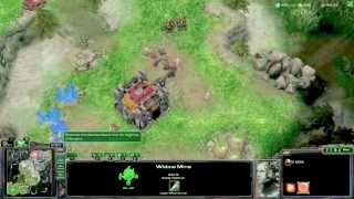 TvT 1 victory