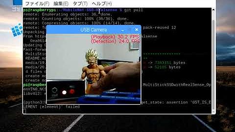 [24 FPS/NCS2 x1] RaspberryPi3+Python+OpenVINO+MobileNet-SSD+MultiProcess RealTime Object-Detection
