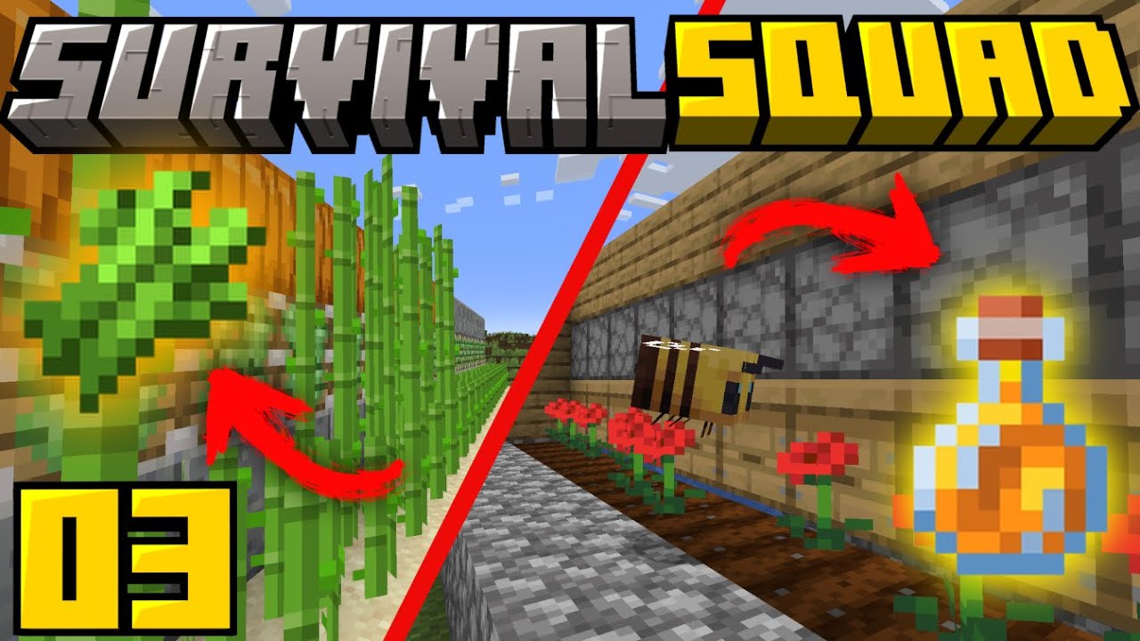 FARM DE CANA E MEL | MINECRAFT: SURVIVAL SQUAD EP 3