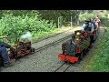 THE BEAUTIFUL ECHILLS WOOD RAILWAY NARROW GAUGE EVENT 2019