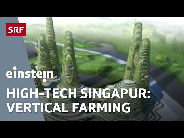 Vertical & Urban Farming, Wohnungsnot, Energieverbrauch & Delfine | Einstein | SRF Wissen