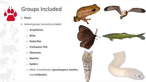 Introducing the LUDS SCC Tool: Explore South Africa’s Biodiversity with EWT & SANBI