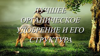 Много нового и очень важного о БАРМАТУХЕ  для эффективного применения в огороде №354