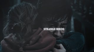 Harry & Hermione | Strange Birds