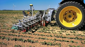 The DynaTrac® Premium+ in a beets field during row crop | LAFORGE