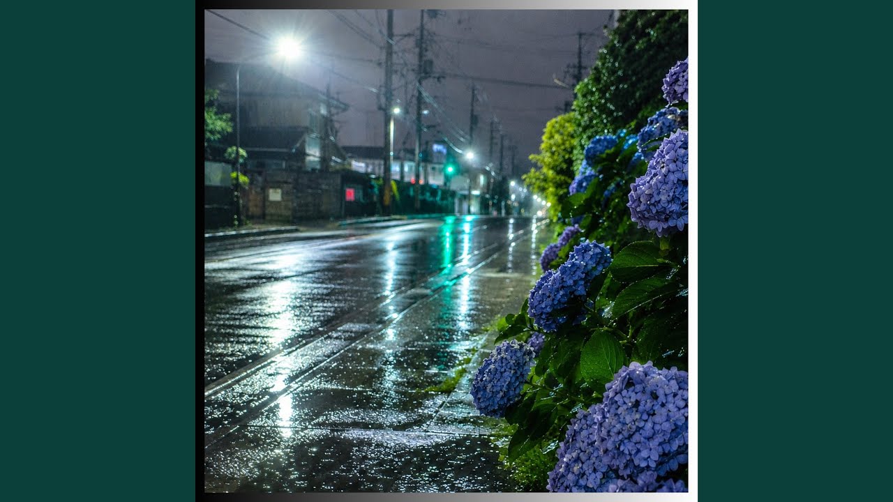 紫陽花 - YouTube
