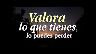 Reflexión - Valora Lo Que Tienes (Reflexiones De Vida) | Álex RH