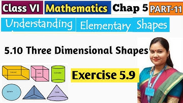 Understanding Elementary Shapes Class 6 Maths /Pt11/ Class 6 Math Chapter 5 Three Dimensional Shapes