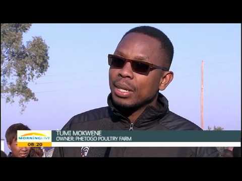 tumi-mokwene,-owner-of-phetogo-poultry-farm-#agristars