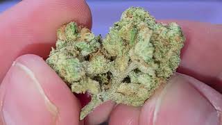 @Valuedbud Gary Payton Bewertung!!🏀✨ Platin-Stufe | Thca Bewertung!