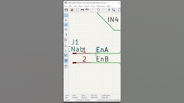 How to add a net name to kicad schematic editor #kicad #tutorial