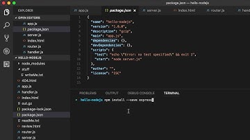Node.js - 基础篇 #17 package.json 文件