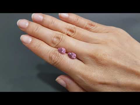 Pair of pink spinels in pear cut 3.48 carats, Tajikistan Video  № 3