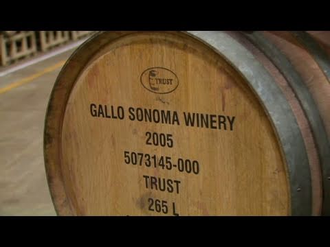 Video: Kuris gallo šeimos vynas yra saldus?
