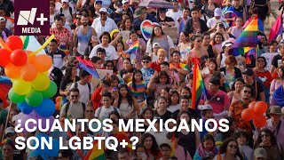 LGBTQ+ en Mexico; ¿Cuántos mexicanos forman parte de la comunidad?- N+15