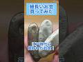 細長いお金を買ってみた‼️