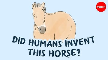 The return of Mongolia