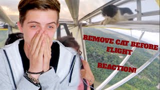 Remove Cat Before Flight | Reaction!