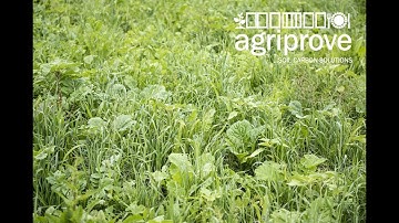 Agriprove - Grow Top Soils - The Science of Soil Carbon
