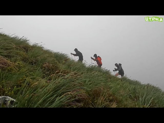 Ultra Trail du Puy Mary Aurillac (UTPMA) | 14-15 juin 2024 | (F.LESCA)