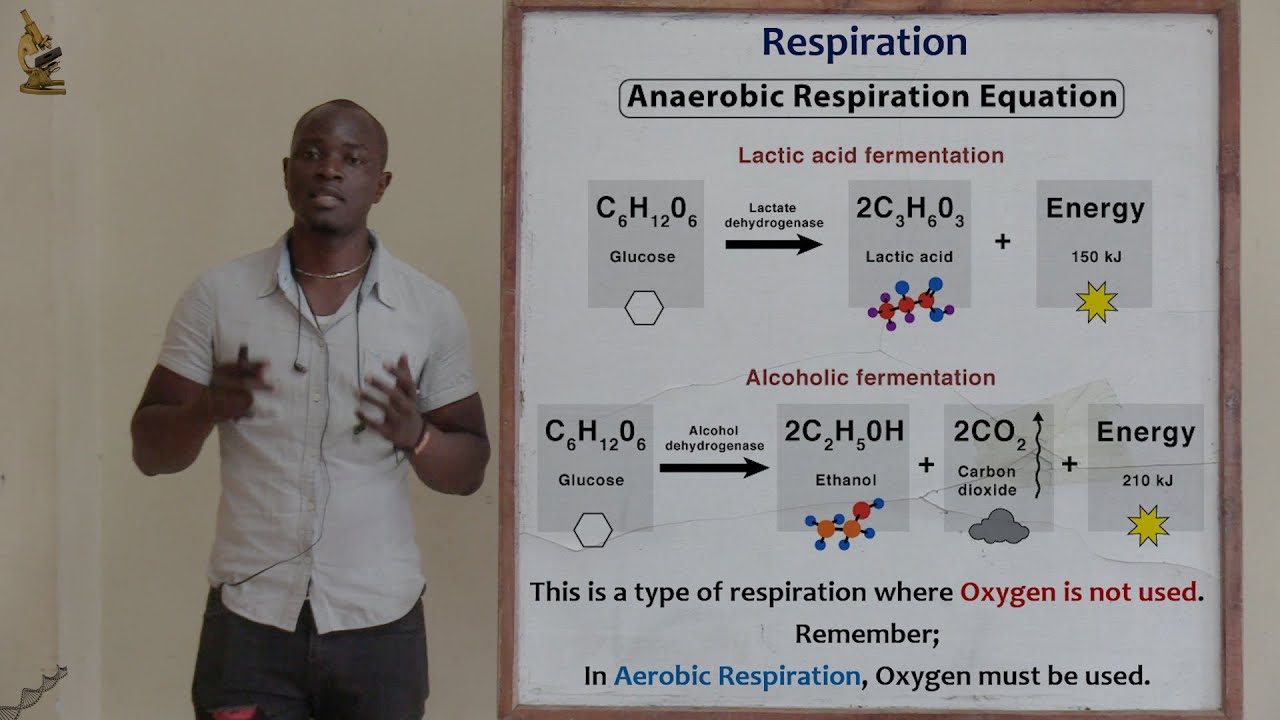 17. Respiration; Anaerobic Respiration Biology Form 2