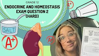 ENDOCRINE and HOMEOSTATSIS | EXAM Q2 (HARD)