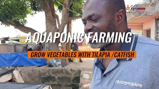 How to Kickstart Your Aquaponics Farming Business- Turning Water into Wealth