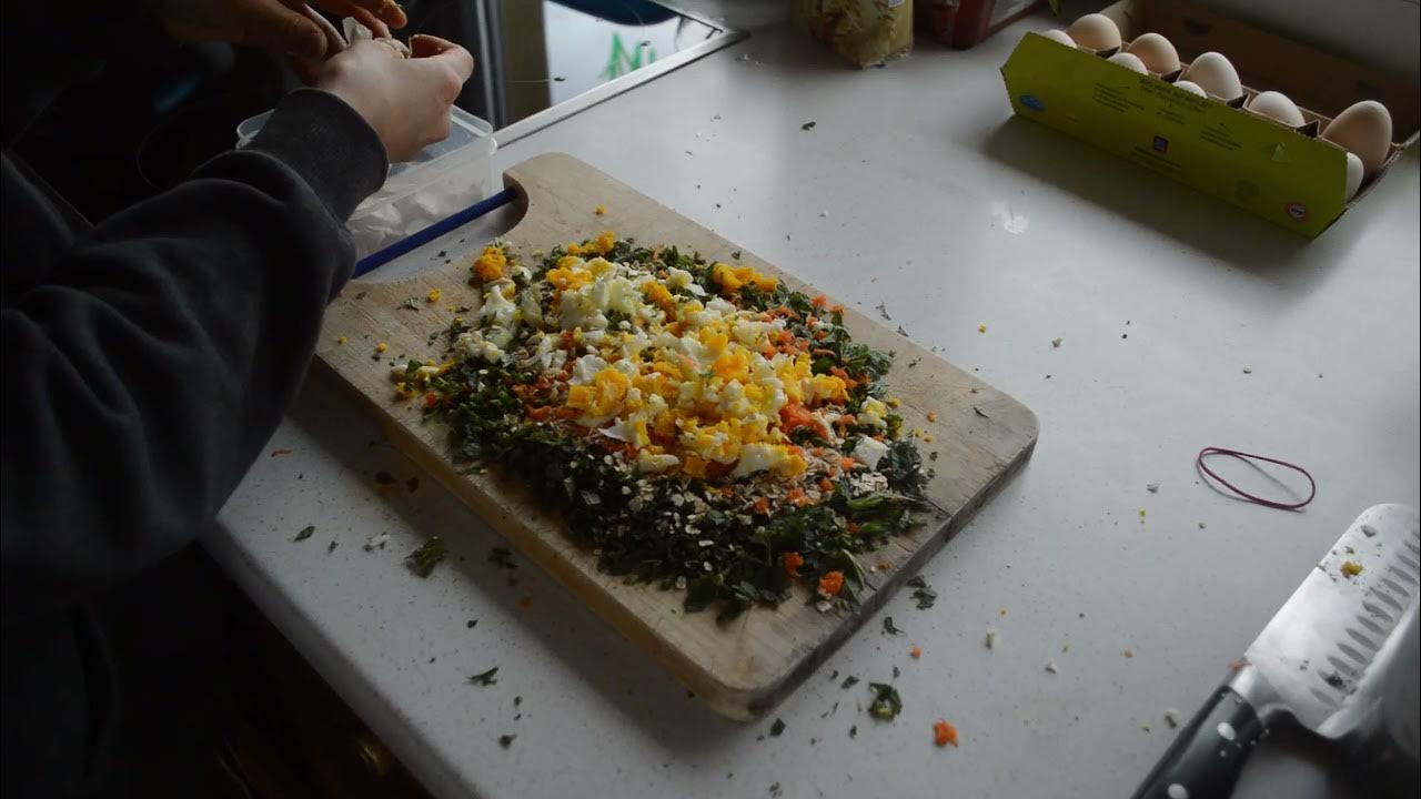 Altsteirerküken mit Glucke aufziehen, Kükenstarter, Kükenfutter selber machen, Zwei tage alte