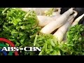 Salamat Dok: Health benefits of Radish | Cure Mula sa Nature